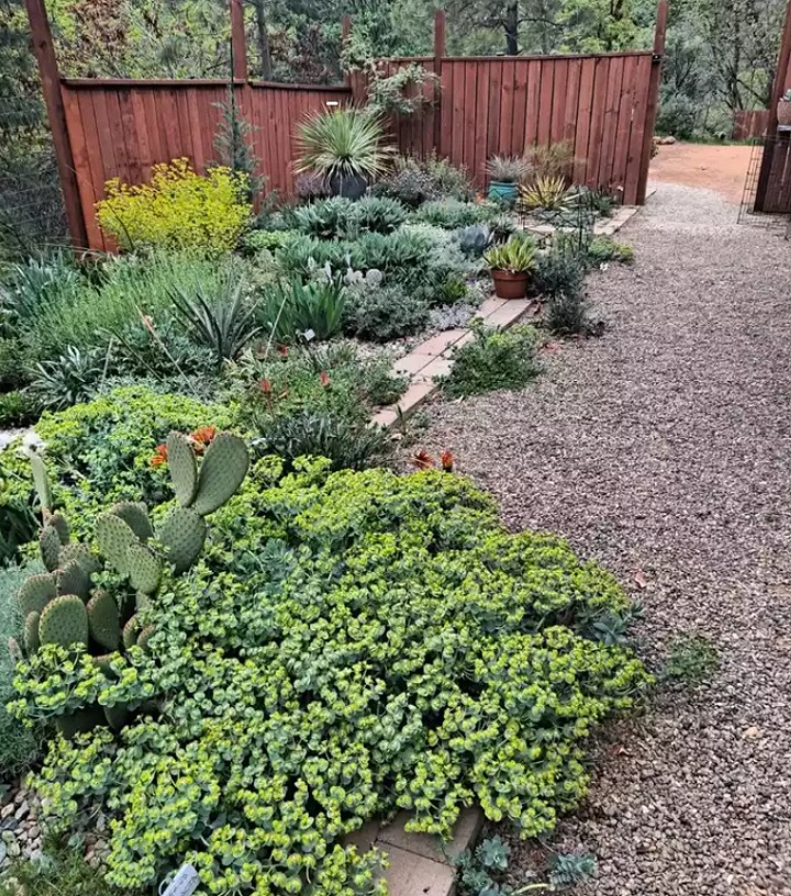 The 10 Best Inexpensive Landscaping Options